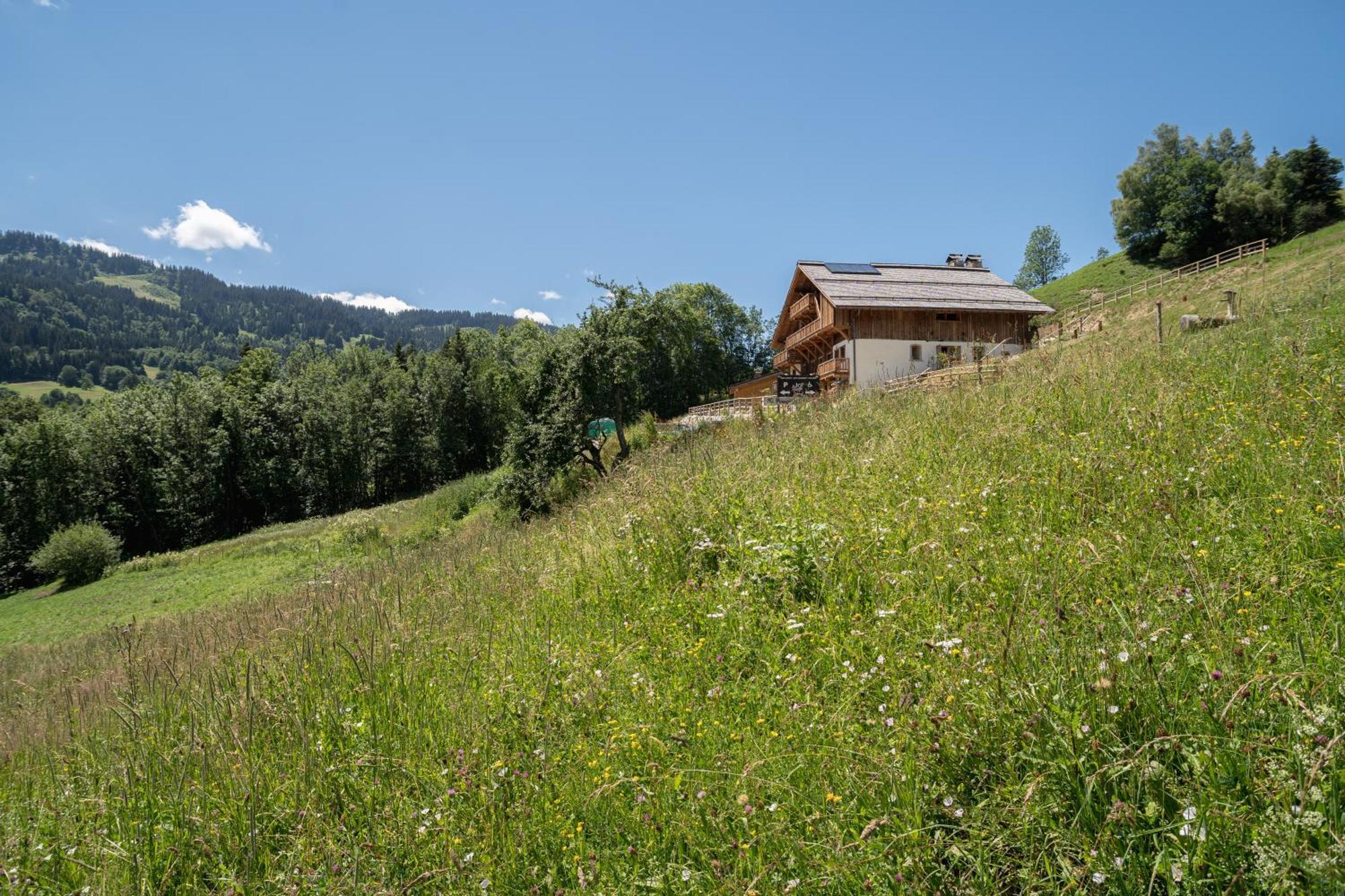 Le Toi Du Monde Bed & Breakfast Flumet Exterior photo
